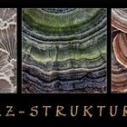 Pilz-Strukturen