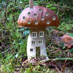 Pilz Wohnung