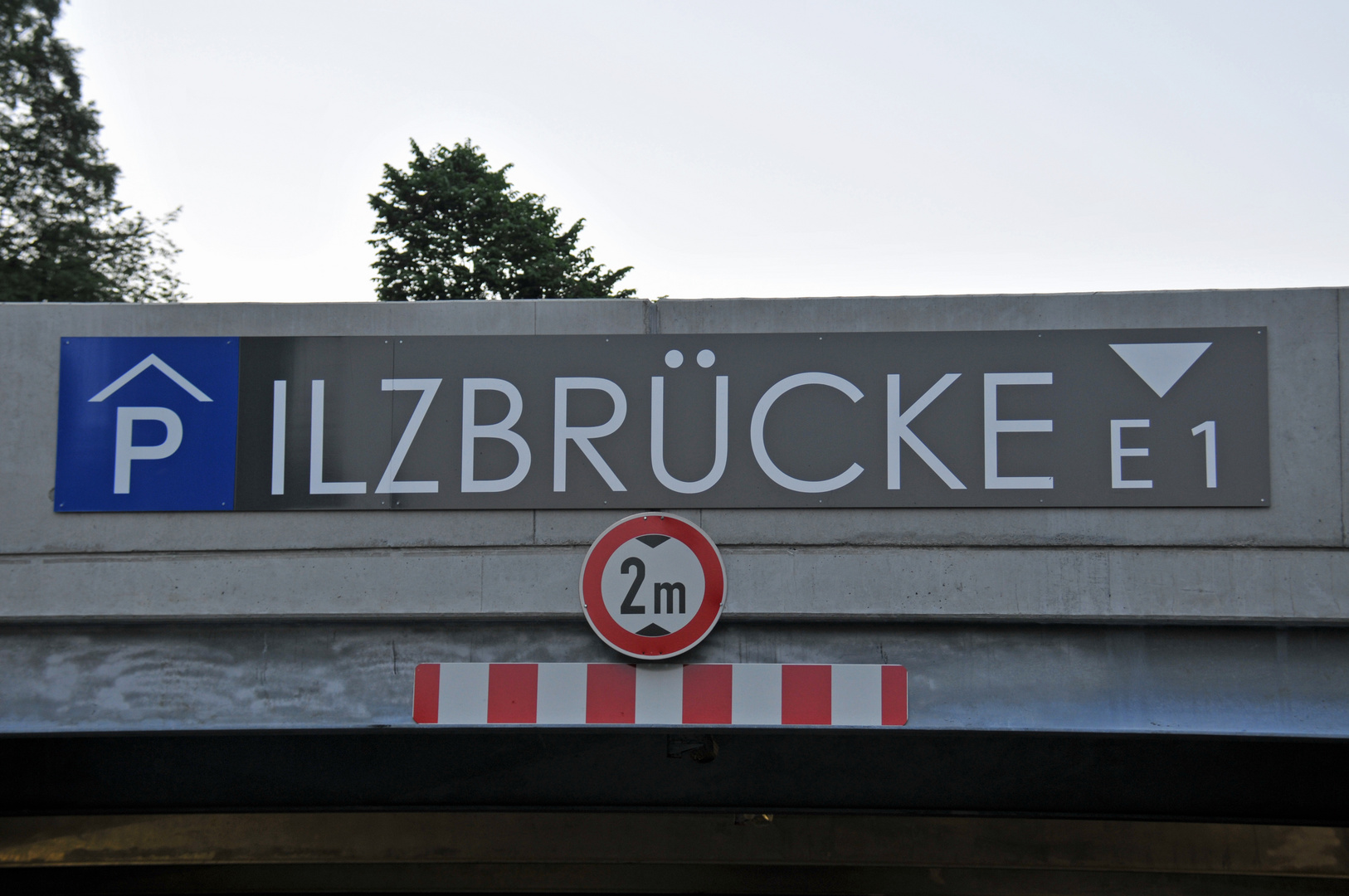 (p)ilzbrücke