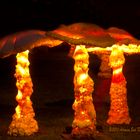~ Pilze ~ Lichterfest in Bad Rappenau