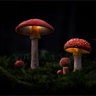 Pilzfamilie im Licht