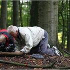 Pilzfotografen...