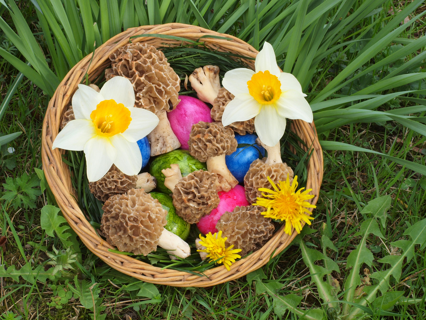 Pilzfotografens Ostergruß