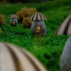 Pilzhäuser im Wald