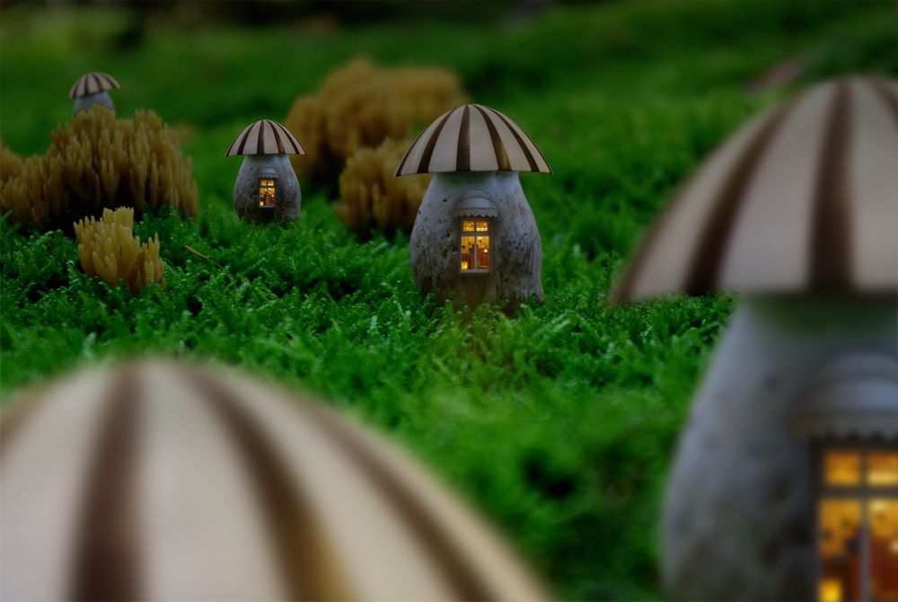Pilzhäuser im Wald