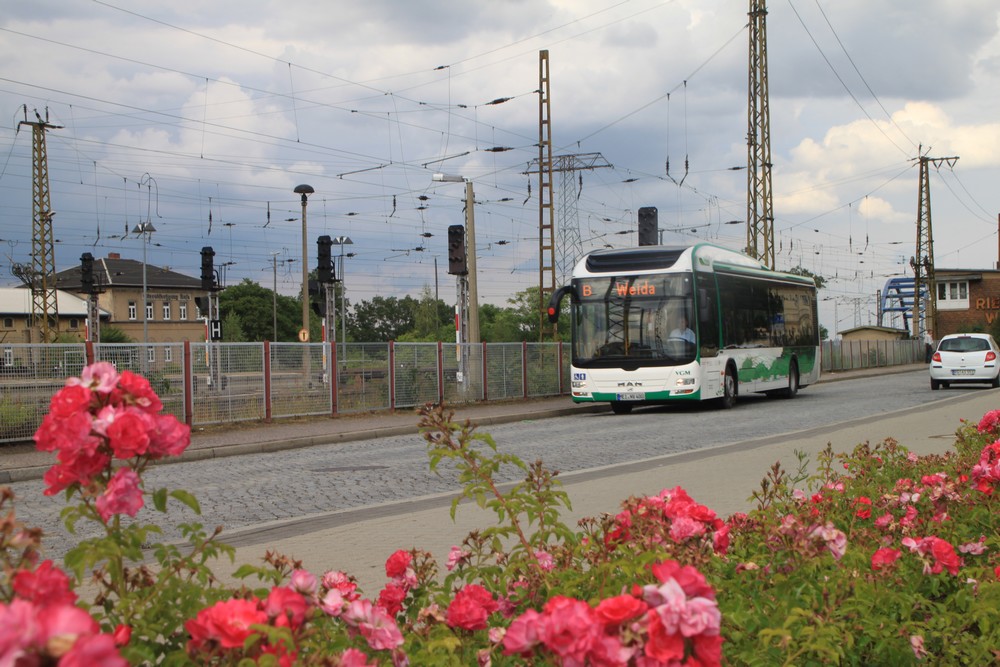 Pilzlampen und Hl-Signale in Riesa