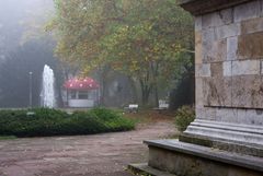 Pilzsaison in Regensburg