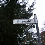 Pilzwald