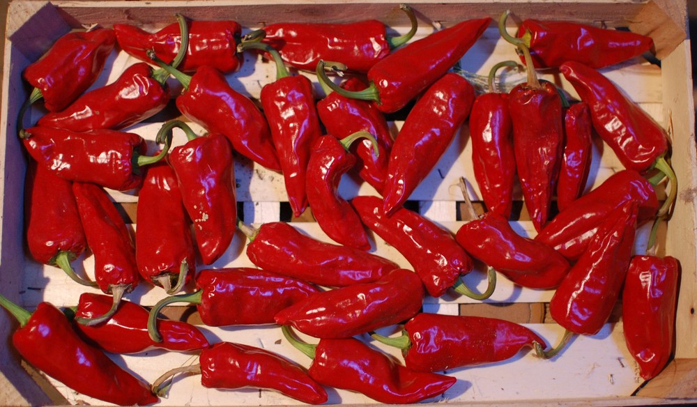 Piments d'Espelette