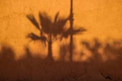 P_IMG_0907_v12_e20_Schatten_mauer_marocT2_nbdez24