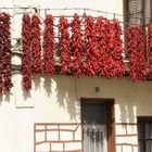 Pimientos secando en Lodosa (Navarra)