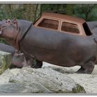 pimp my hippo ...