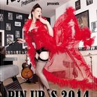 Pin UPp Kalender 2014