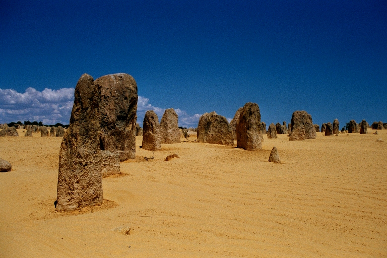 Pinacle Desert