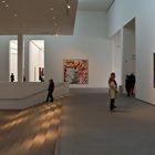 Pinakothek der Moderne (8)