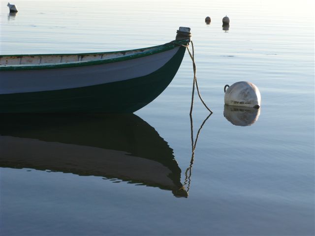 Pinassaute, bassin d'Arcachon