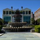 Pine Apple Fountain....................