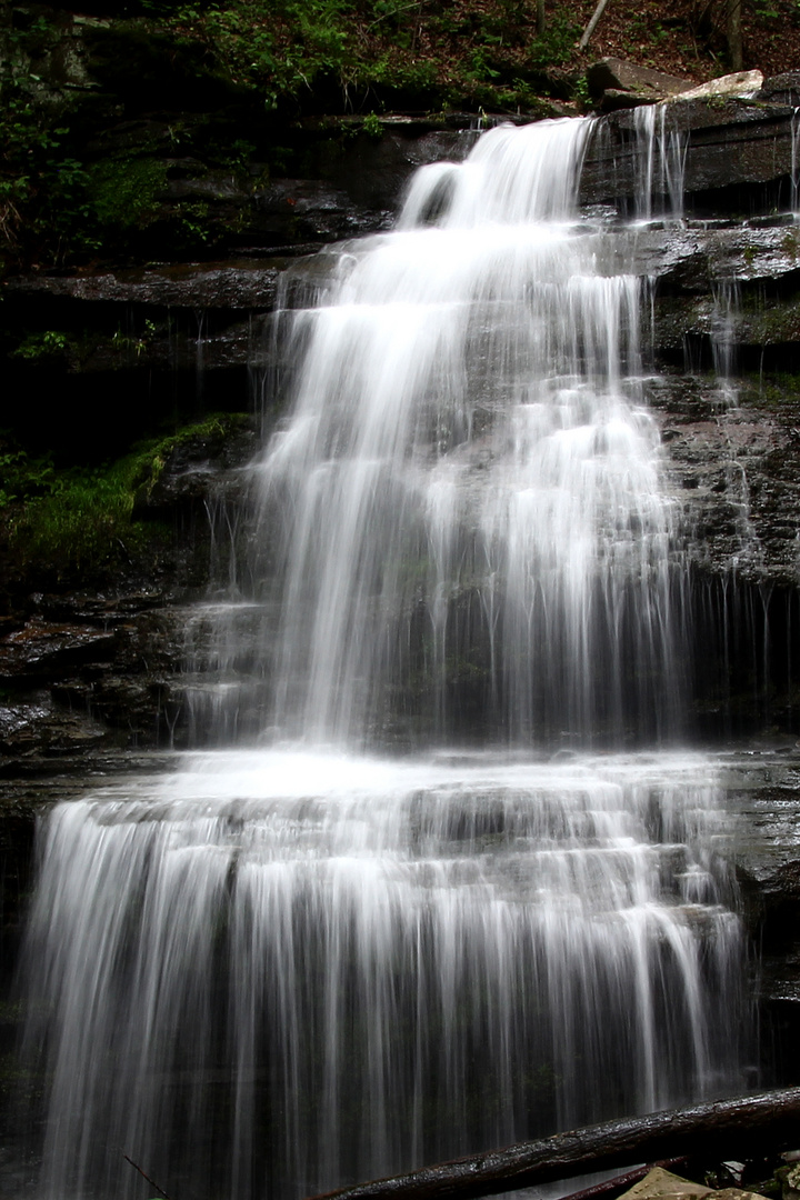 Pine Creek Gorge