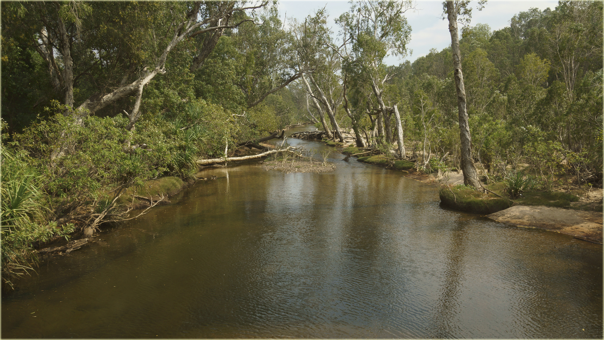 Pine Creek im Kakadu NP, Northern Territory, Australia