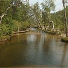 Pine Creek im Kakadu NP, Northern Territory, Australia