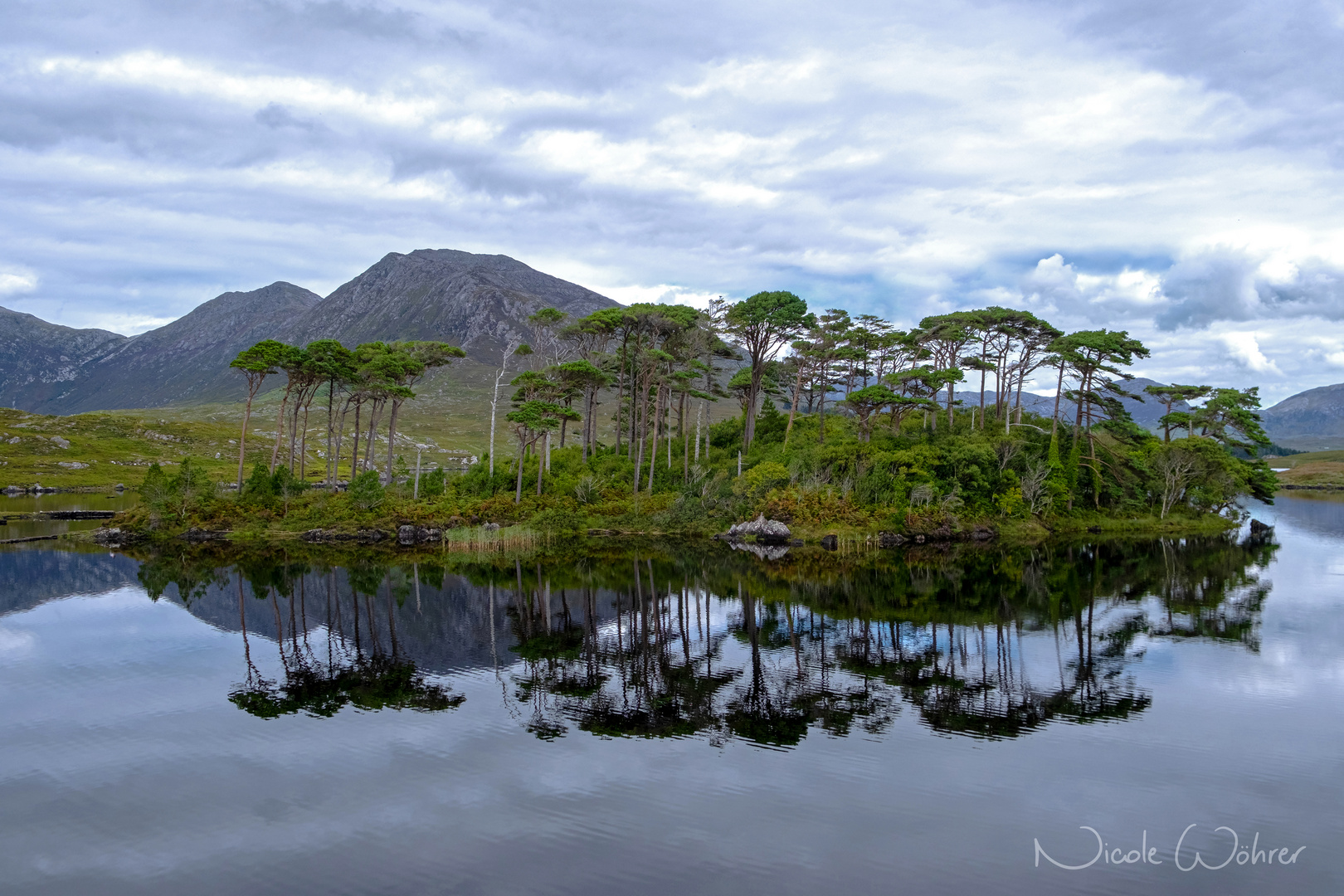 Pine Island