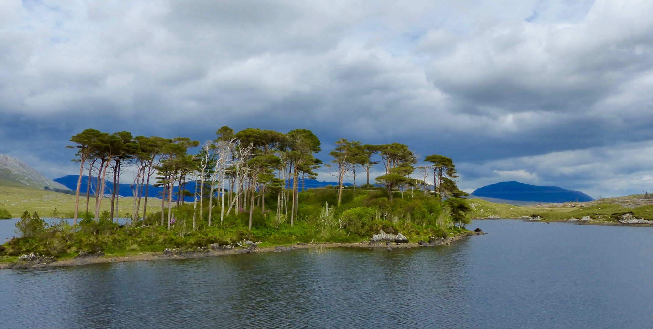 Pine Island - Connemara / Irland