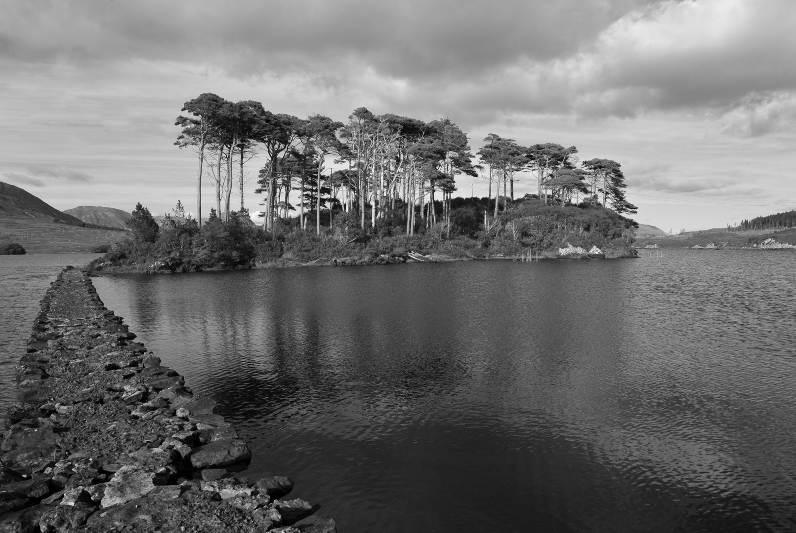 Pine Island, Connemara, Irland