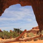 Pine Tree Arch