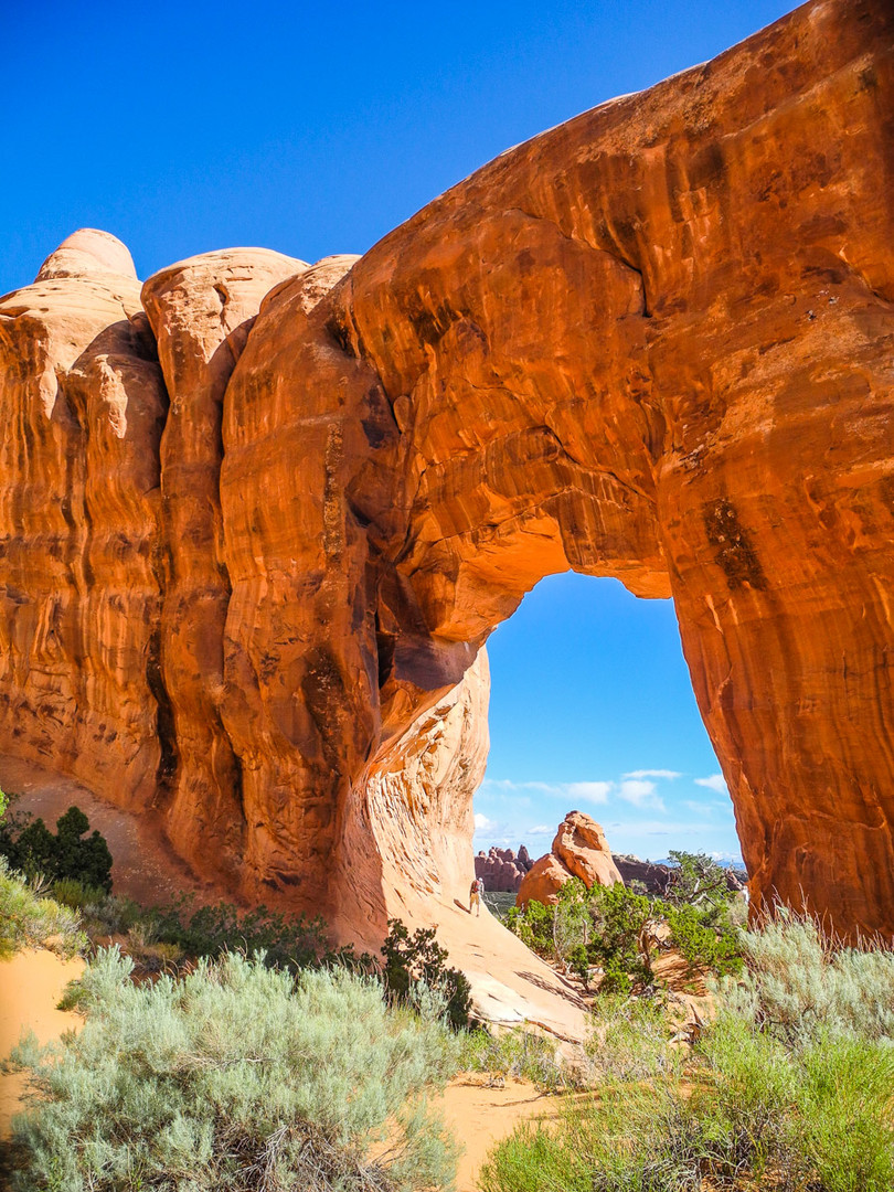 Pine Tree Arch oder die Suche nach dem Durchblick