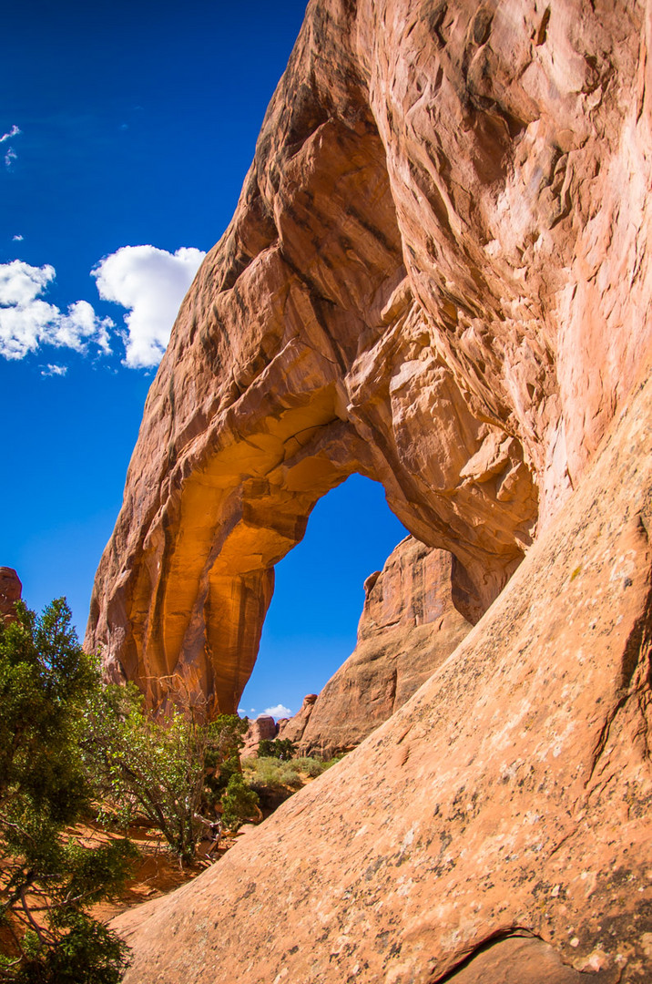 Pine Tree Arch von hinten