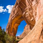 Pine Tree Arch von hinten