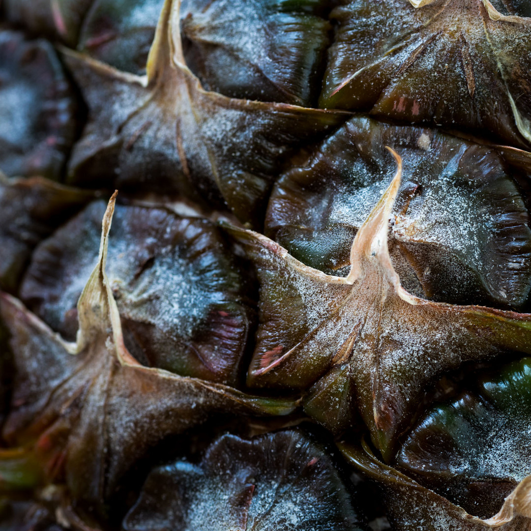 ~~ Pineapple Details ~~