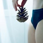 Pinecone / front