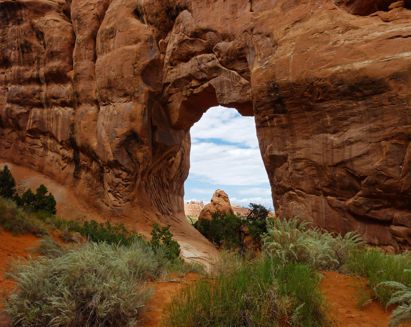 Pinetree arch