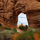 Pinetree arch