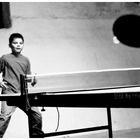 ping pong (1)