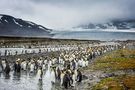 Subantarctic Islands