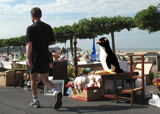 Pingouin à l'arrêt