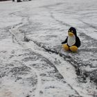 Pingu auf Alstereis