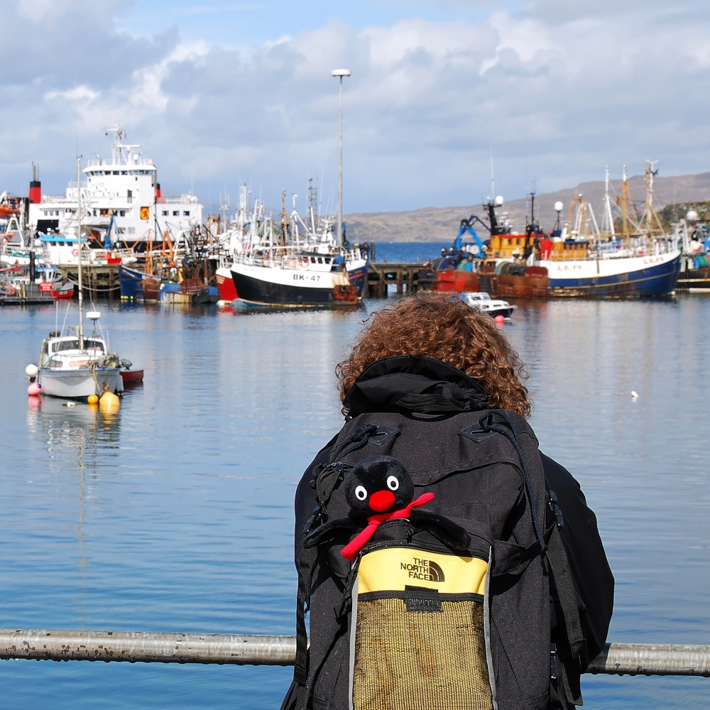 Pingu besucht Mallaig 2