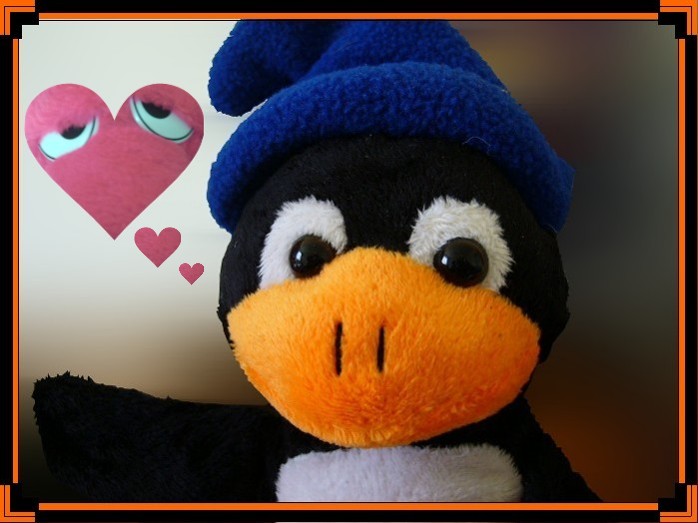 Pingu in Love