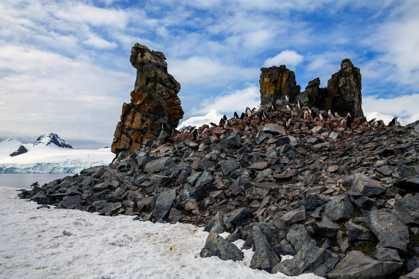 Pinguin-Felsen