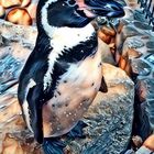 Pinguin II