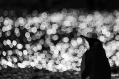 Pinguin Lightshow