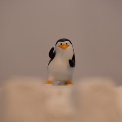 Pinguin Private