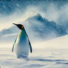 Pinguin trotzt Blizzard ll   (KI)