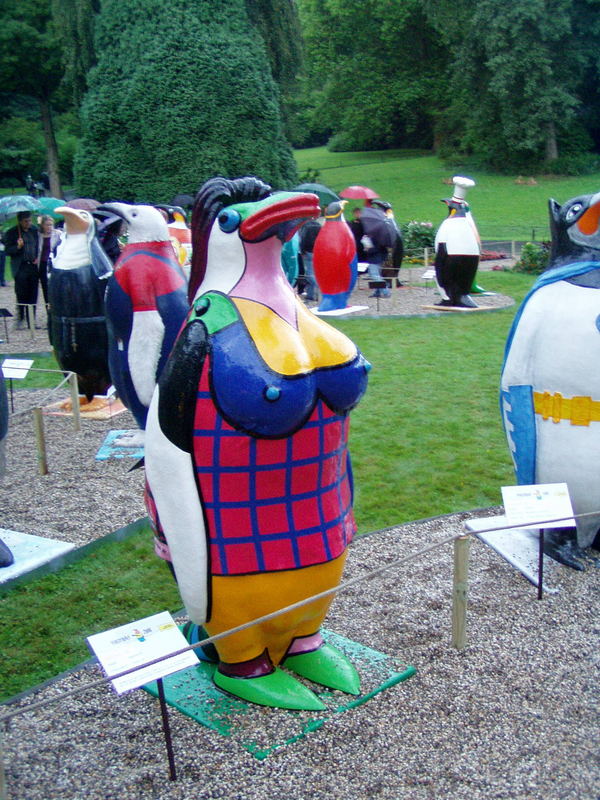 Pinguin-Weibchen oder was??