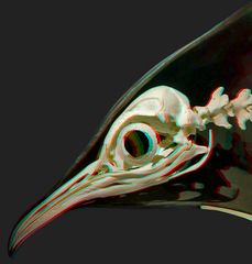 Pinguin/2 [3D] (reload)