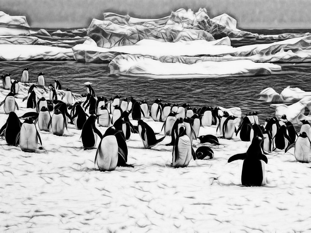 ... pinguine      