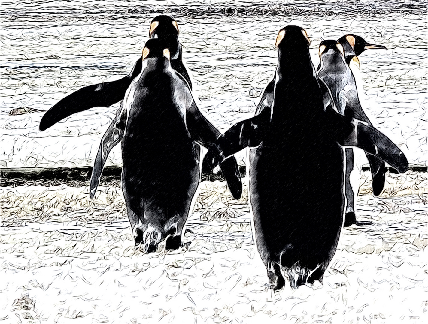 pinguine ...                                   